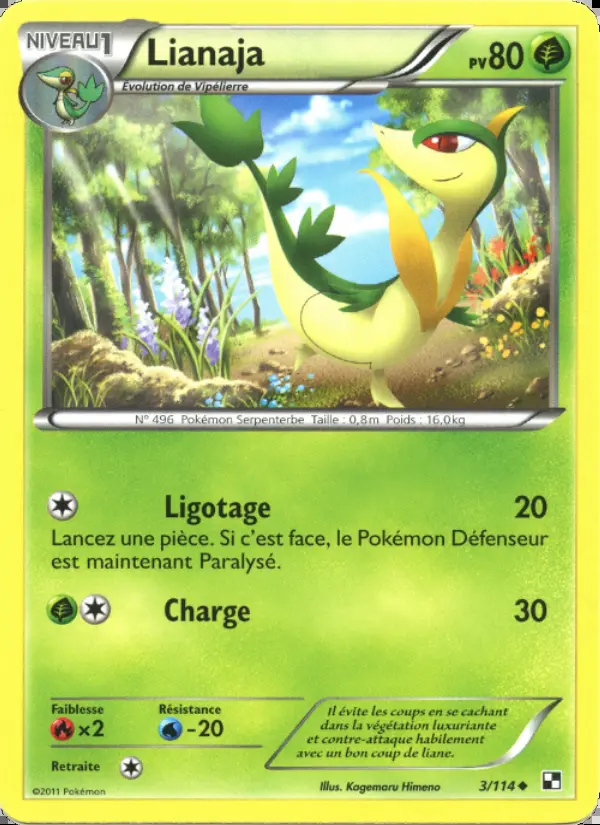 Image of the card Lianaja