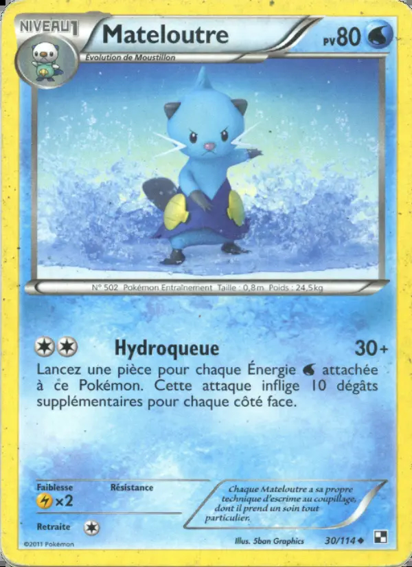 Image of the card Mateloutre