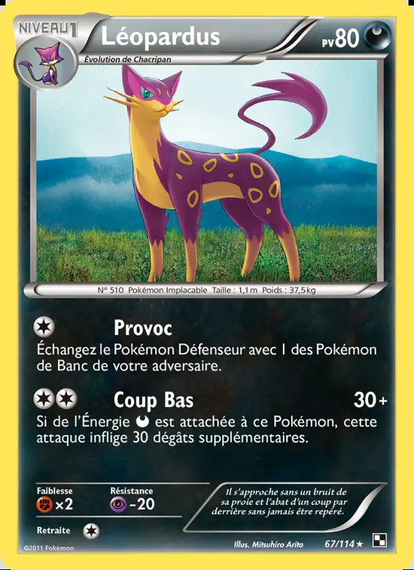 Image of the card Léopardus