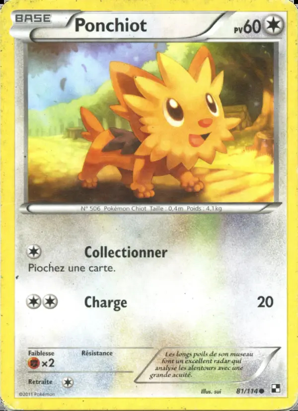 Image of the card Ponchiot