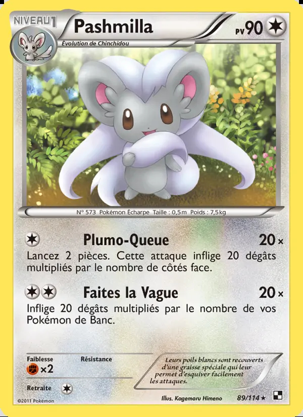 Image of the card Pashmilla