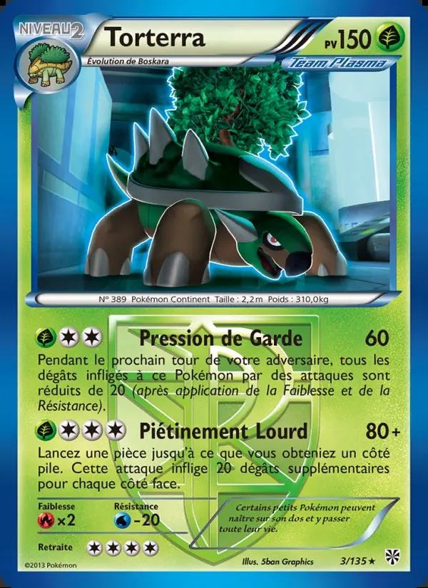 Image of the card Torterra