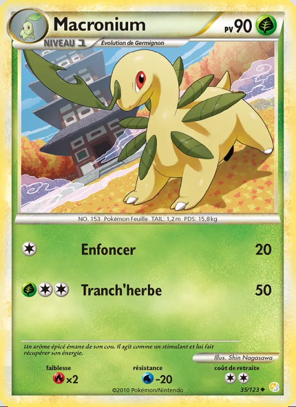 Image of the card Macronium