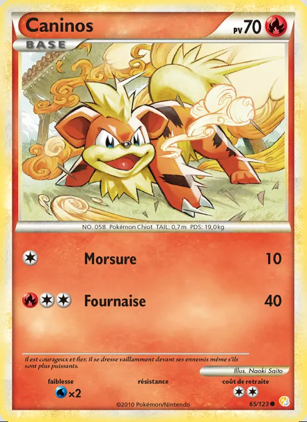 Image of the card Caninos