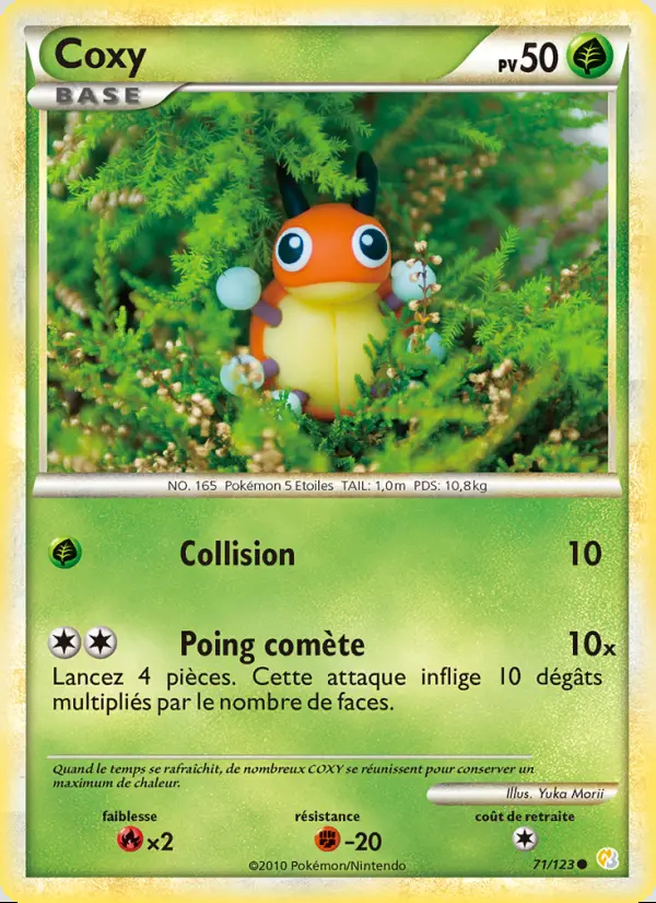 Image of the card Coxy