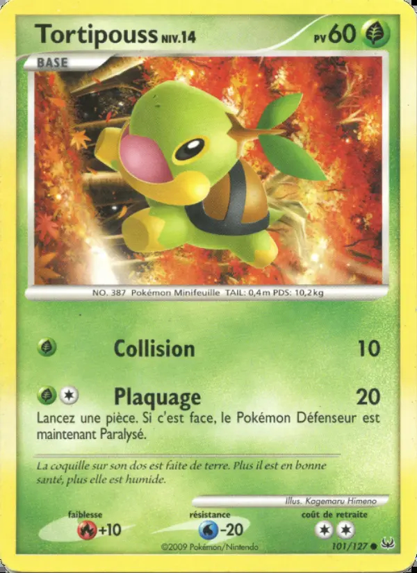 Image of the card Tortipouss