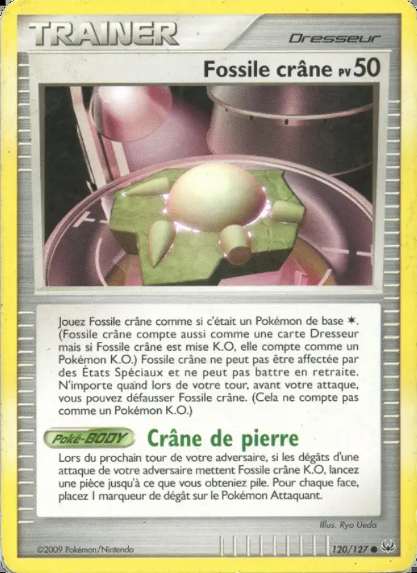 Image of the card Fossile crâne