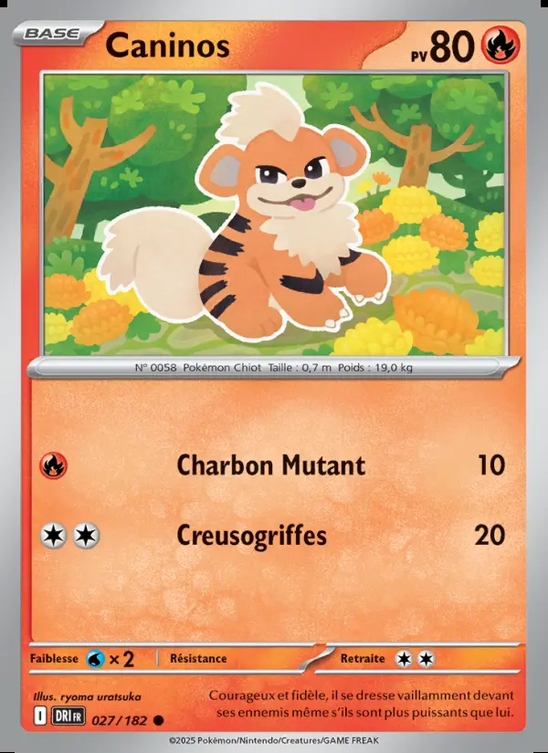 Image of the card Caninos