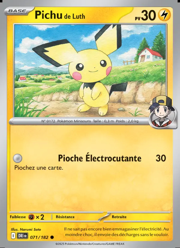 Image of the card Pichu de Luth