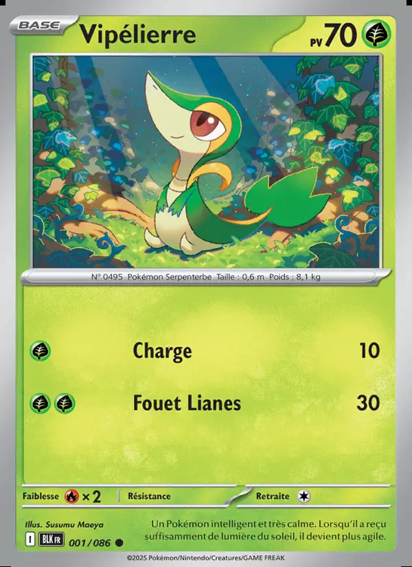 Image of the card Vipélierre