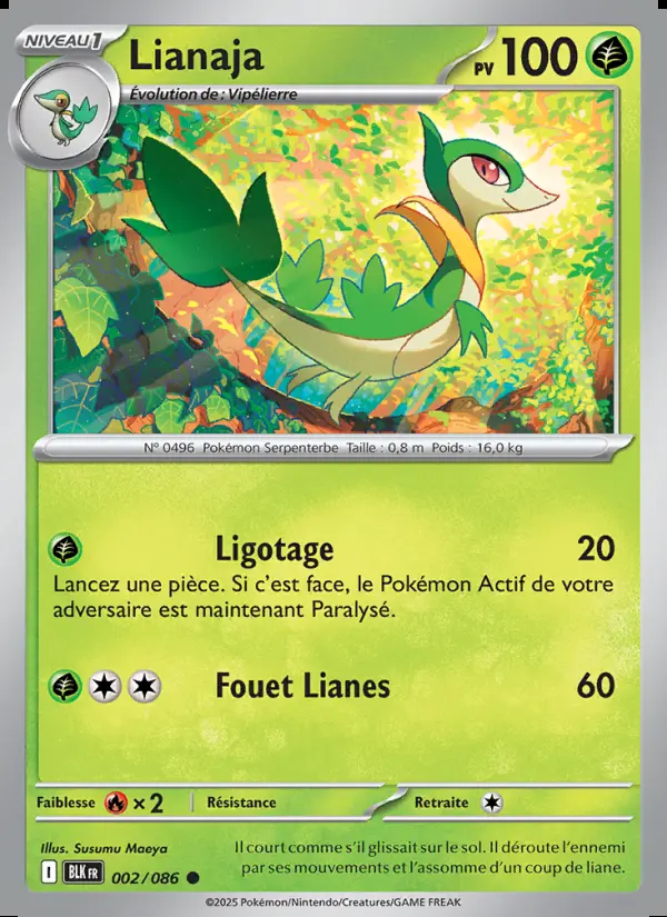 Image of the card Lianaja