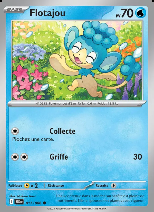 Image of the card Flotajou
