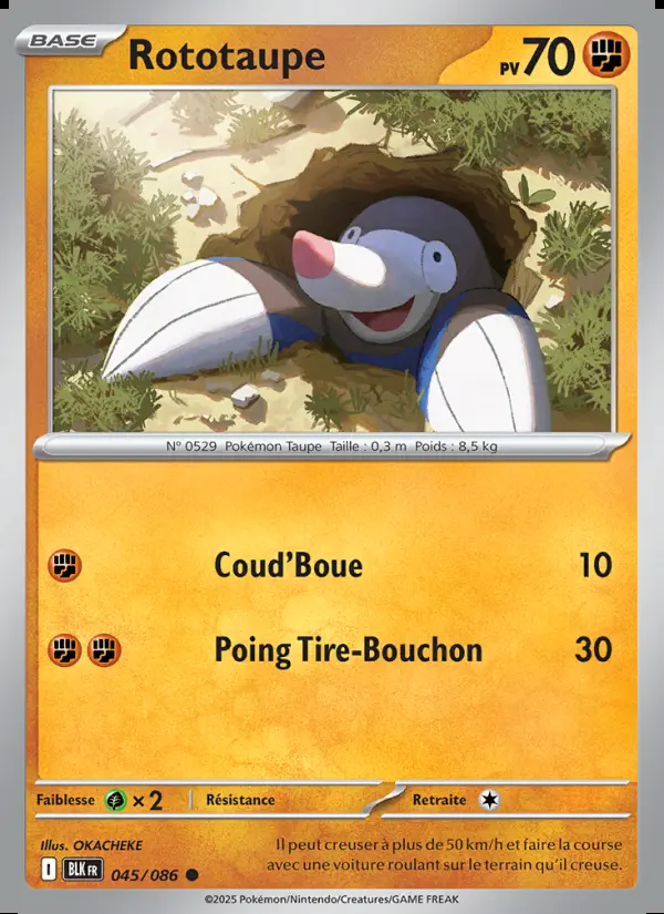 Image of the card Rototaupe