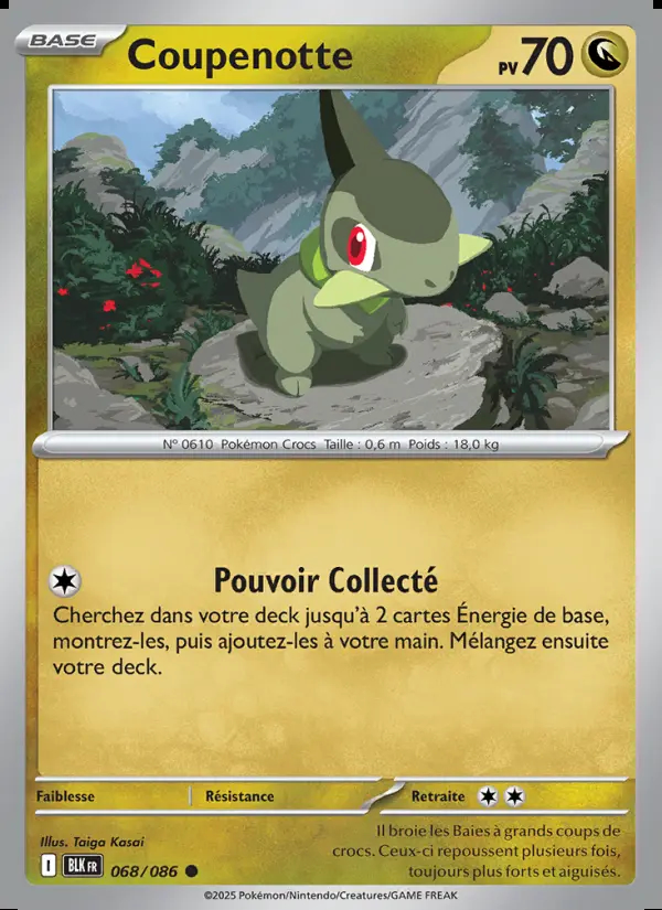 Image of the card Coupenotte