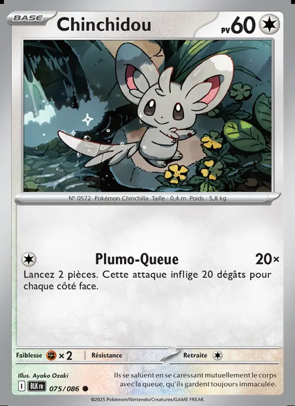 Image of the card Chinchidou