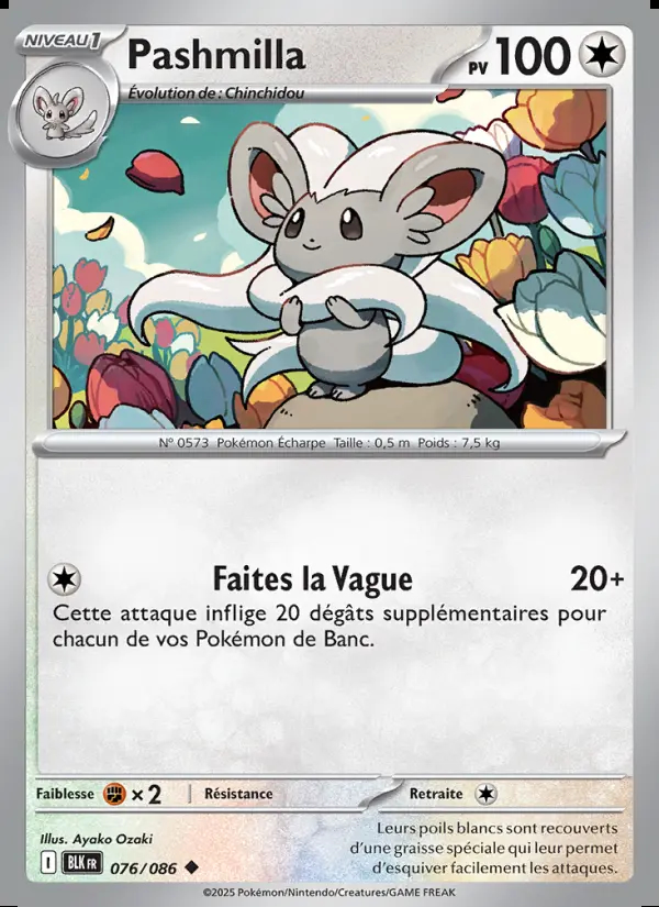 Image of the card Pashmilla