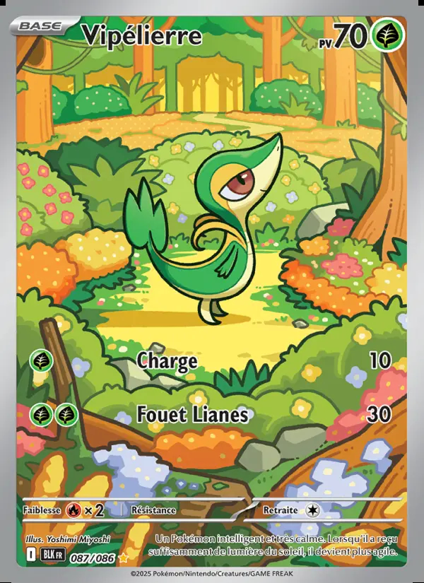 Image of the card Vipélierre