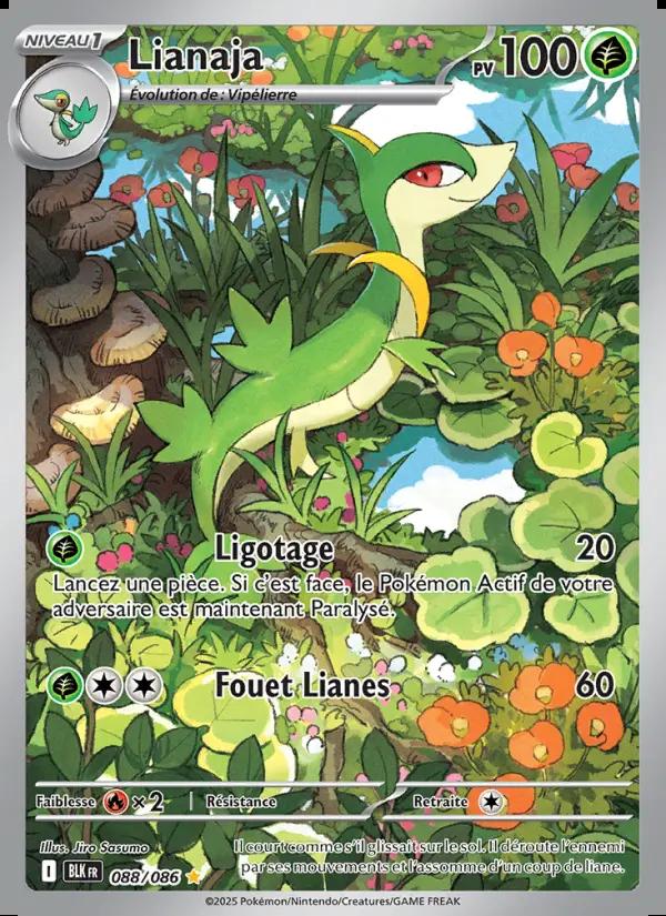 Image of the card Lianaja