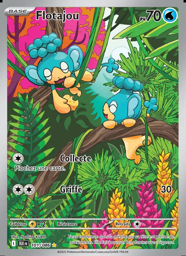 Image of the card Flotajou