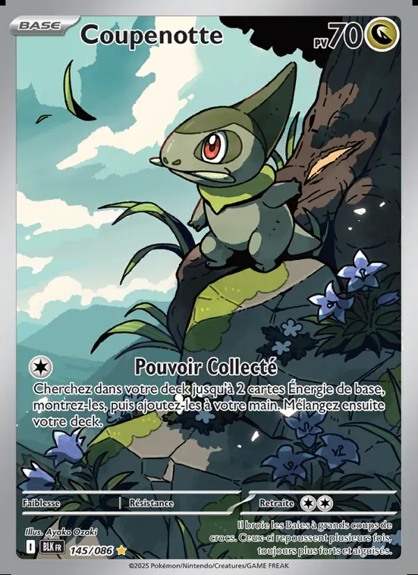 Image of the card Coupenotte