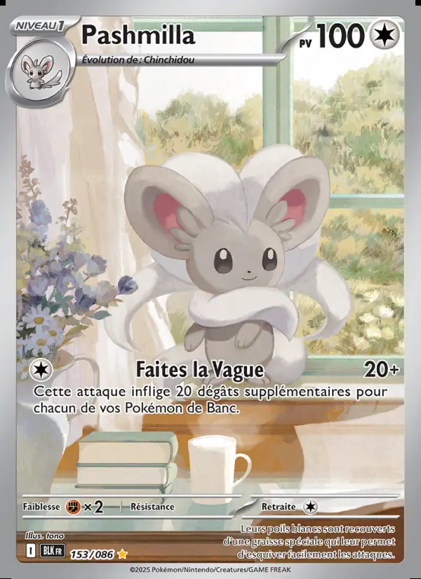 Image of the card Pashmilla