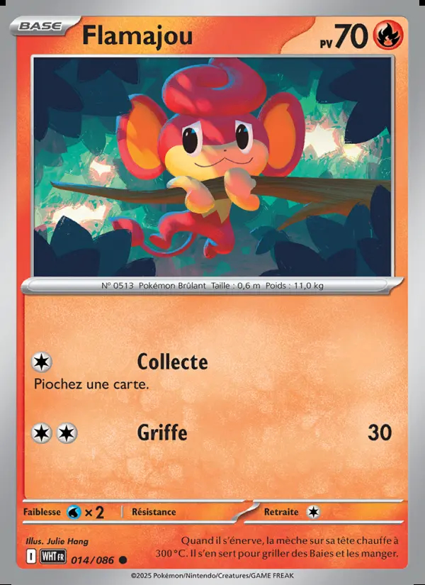 Image of the card Flamajou