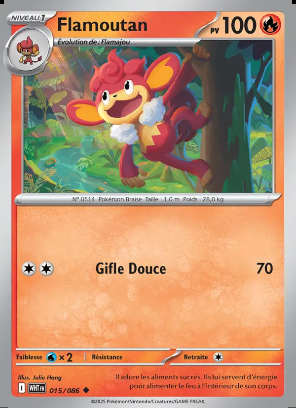 Image of the card Flamoutan