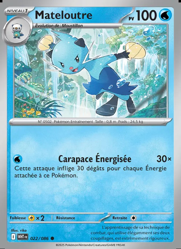 Image of the card Mateloutre
