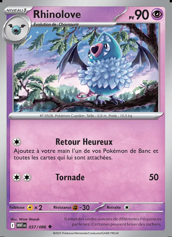 Image of the card Rhinolove