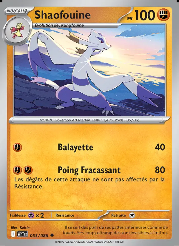 Image of the card Shaofouine