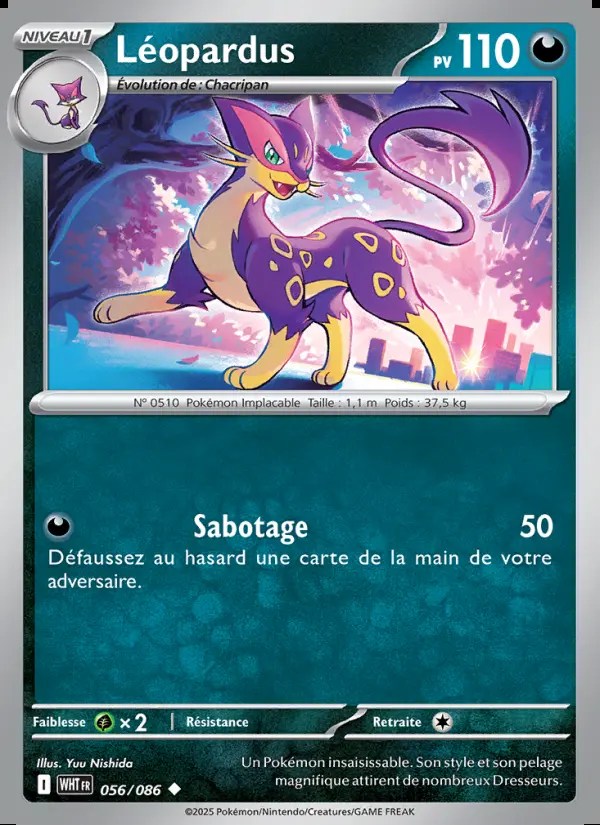 Image of the card Léopardus