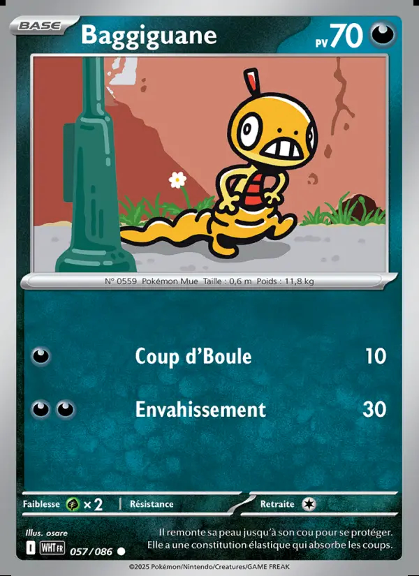 Image of the card Baggiguane