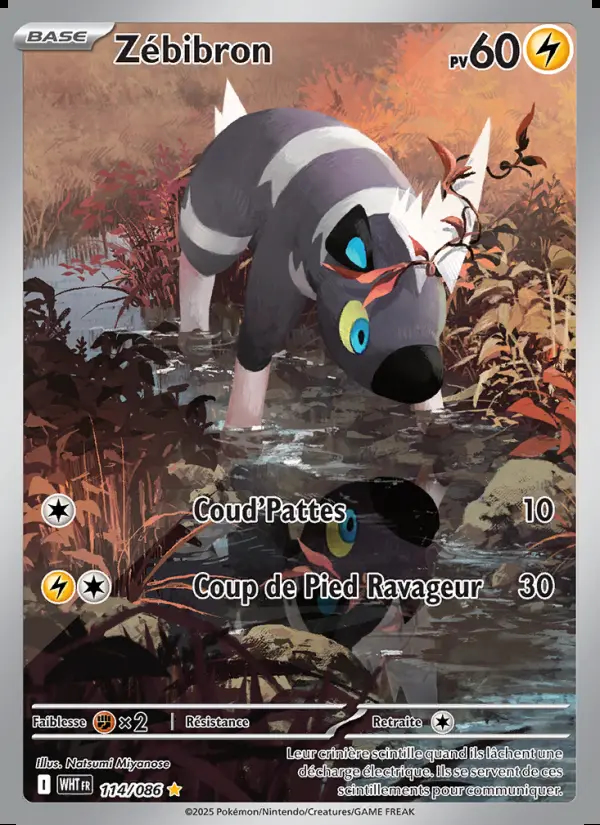Image of the card Zébibron