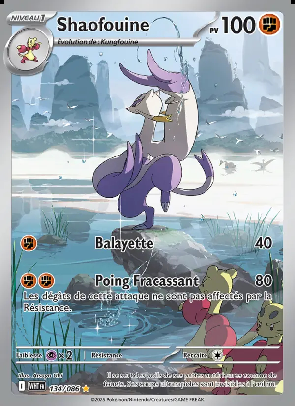 Image of the card Shaofouine