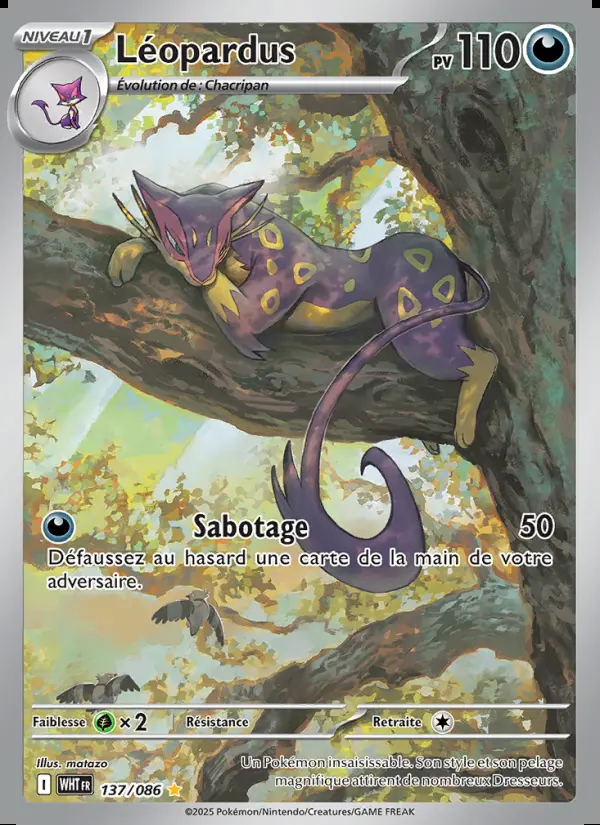 Image of the card Léopardus