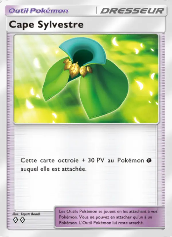 Image of the card Cape Sylvestre