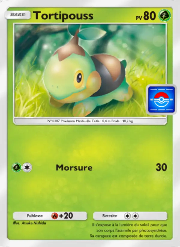 Image of the card Tortipouss
