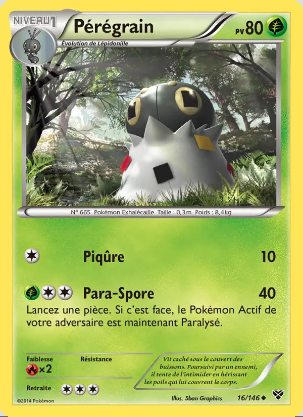 Image of the card Pérégrain