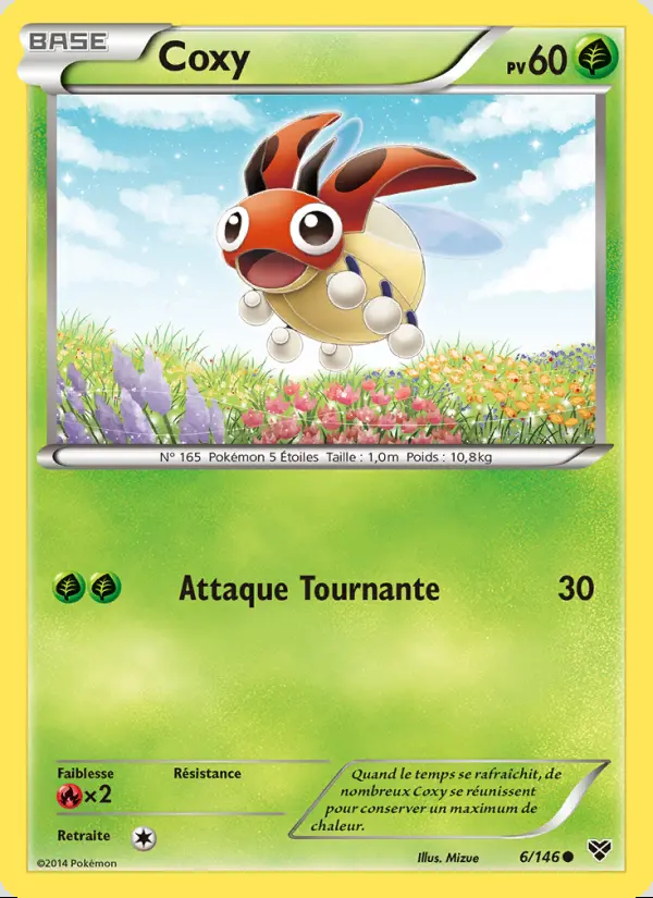 Image of the card Coxy