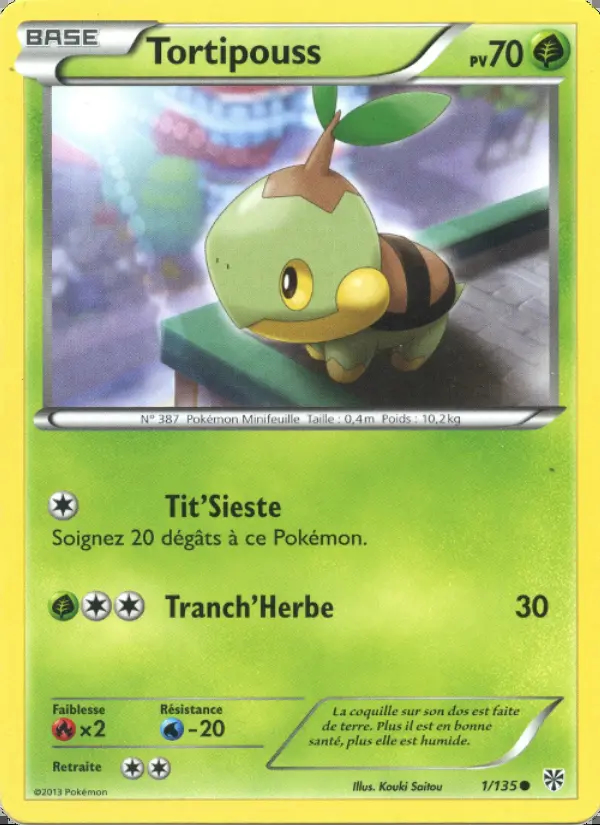 Image of the card Tortipouss