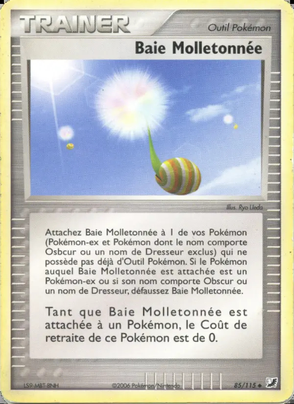 Image of the card Baie Molletonnée