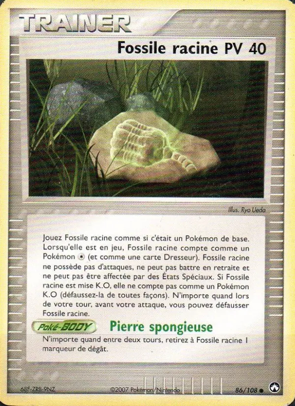 Image of the card Fossile racine