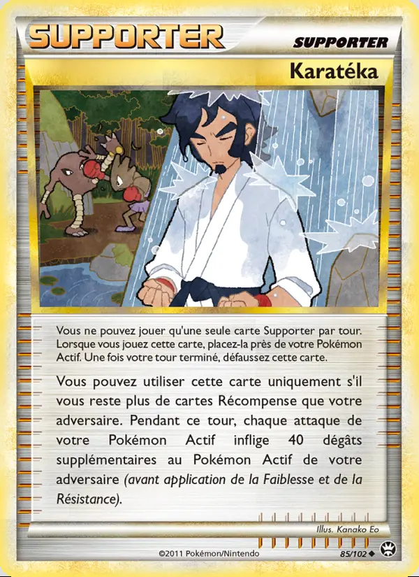 Image of the card Karatéka