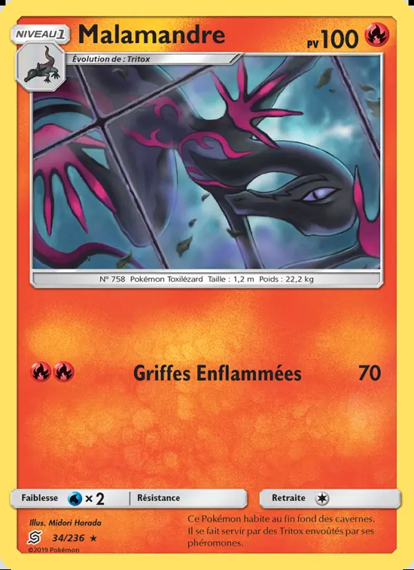 Image of the card Malamandre