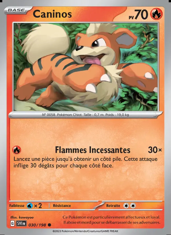 Image of the card Caninos