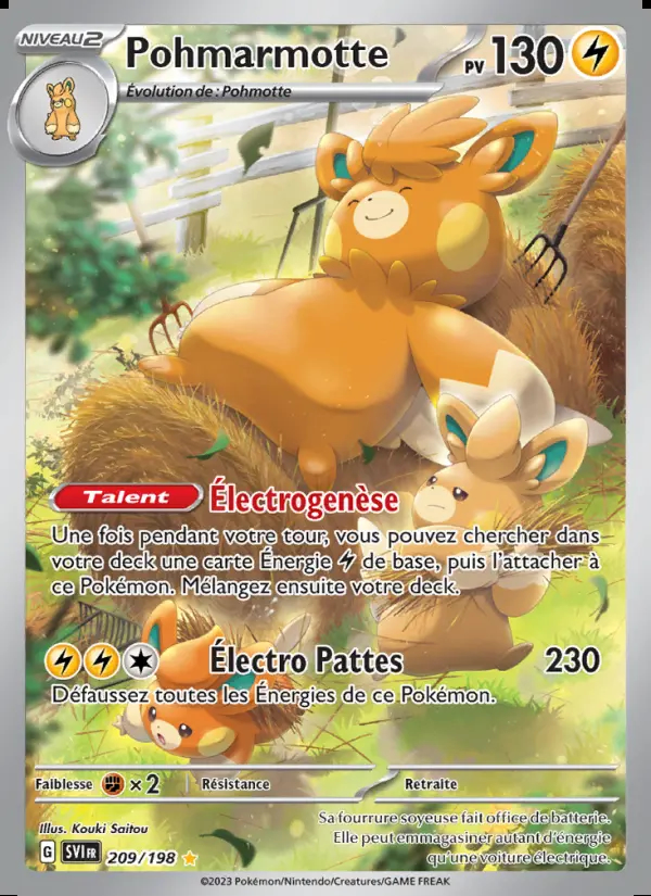 Image of the card Pohmarmotte