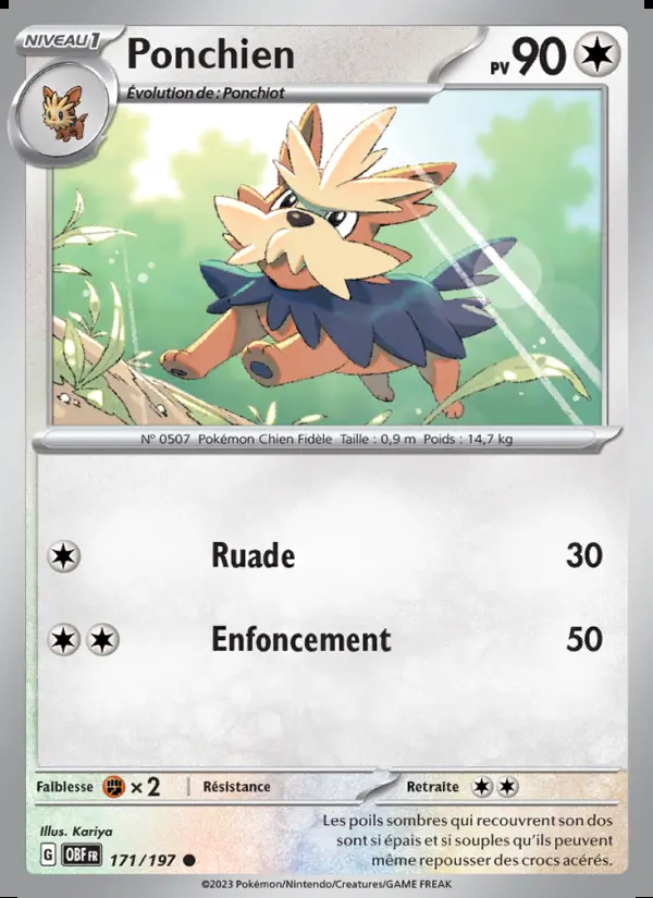 Image of the card Ponchien