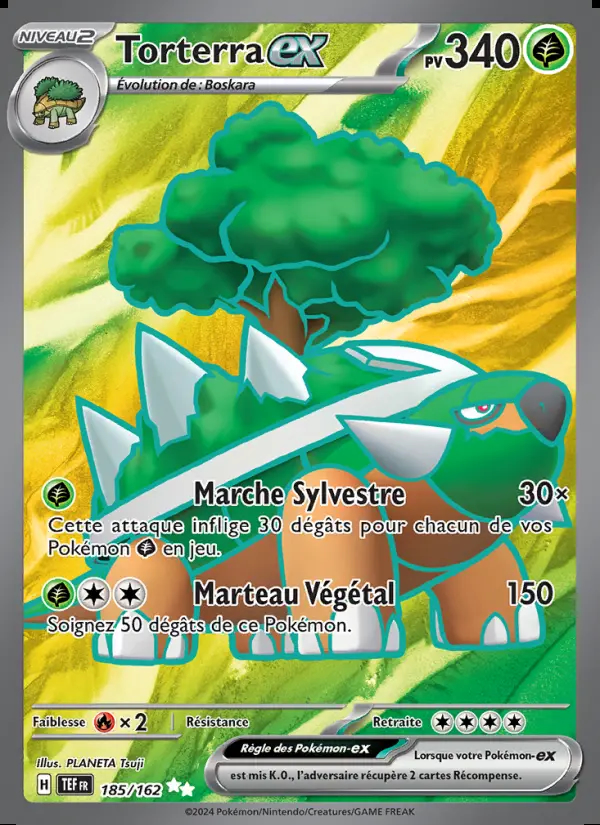 Image of the card Torterra-ex