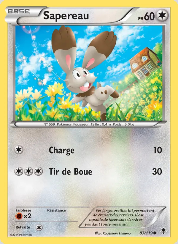 Image of the card Sapereau
